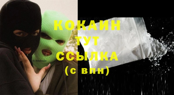 ГАЛЛЮЦИНОГЕННЫЕ ГРИБЫ Арсеньев