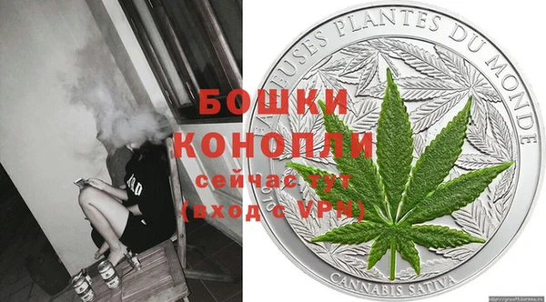 ГАЛЛЮЦИНОГЕННЫЕ ГРИБЫ Арсеньев