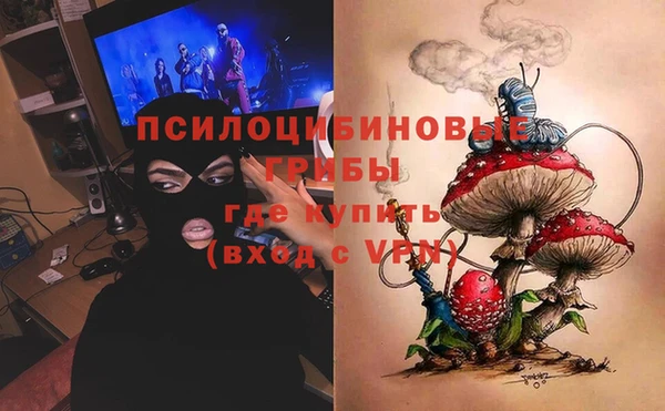 ГАЛЛЮЦИНОГЕННЫЕ ГРИБЫ Арсеньев