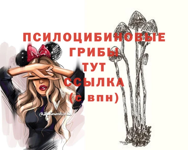мдпв Армянск