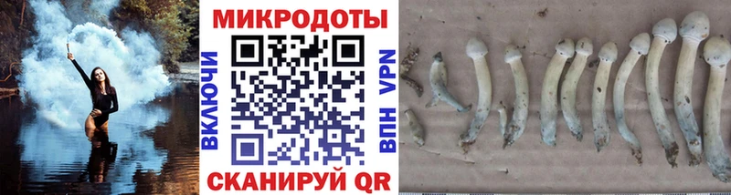 Псилоцибиновые грибы Psilocybine cubensis  закладка  Калязин 